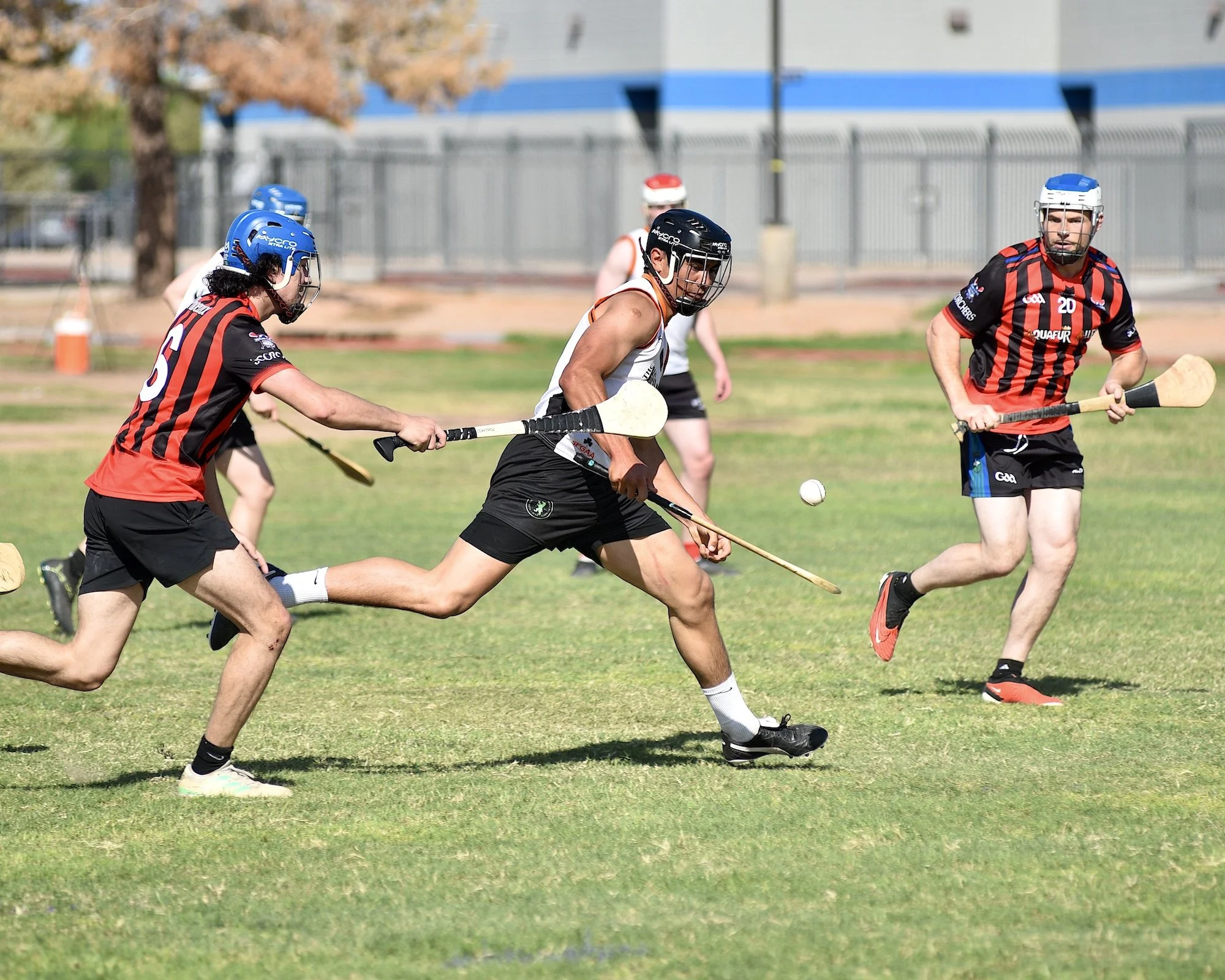 Joseph Mary Plunketts at the Cactus Cup in Gilbert Arizona by William Wayland WW4_2642.JPG