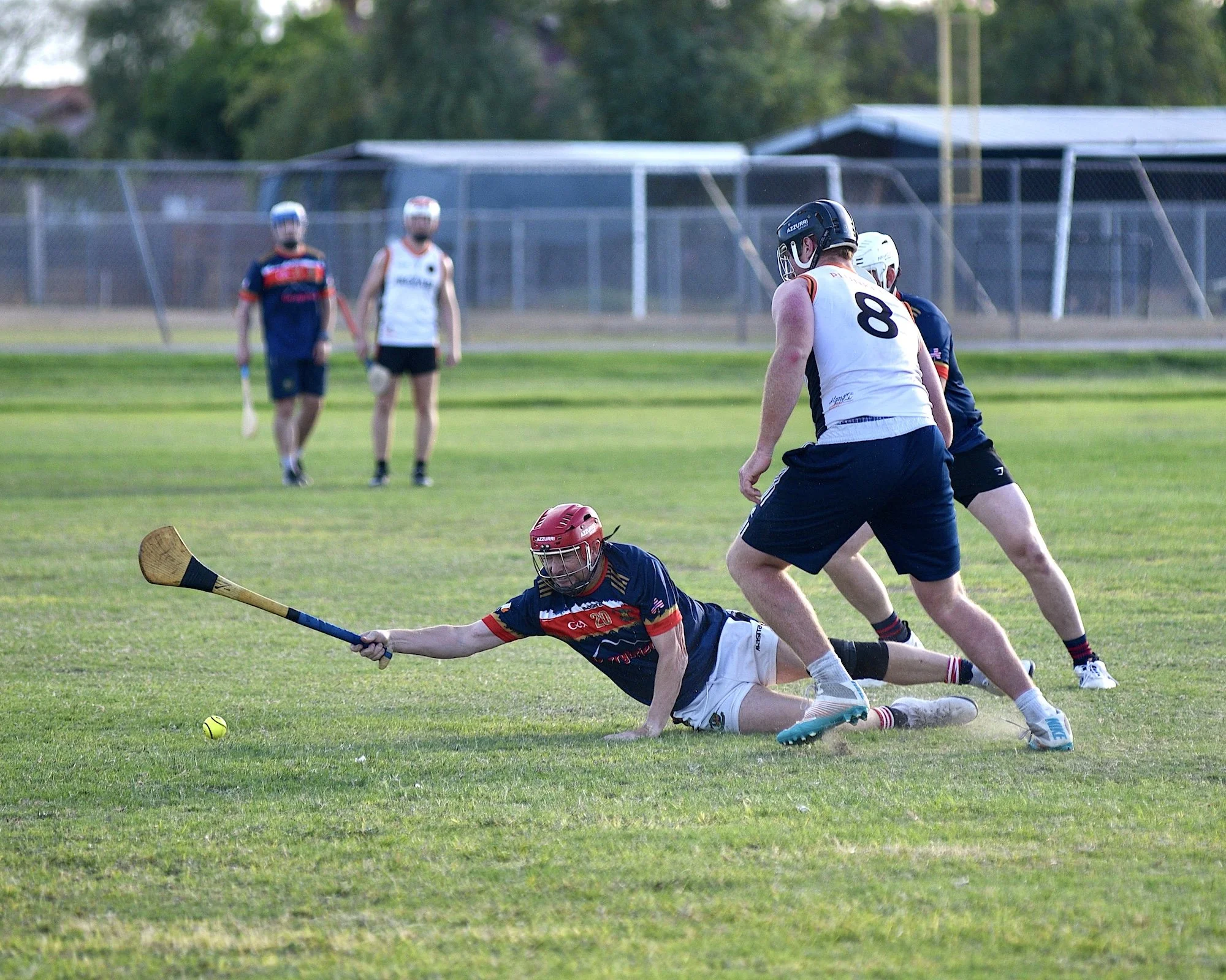 Joseph Mary Plunketts at the Cactus Cup in Gilbert Arizona by William Wayland WW4_3329.JPG