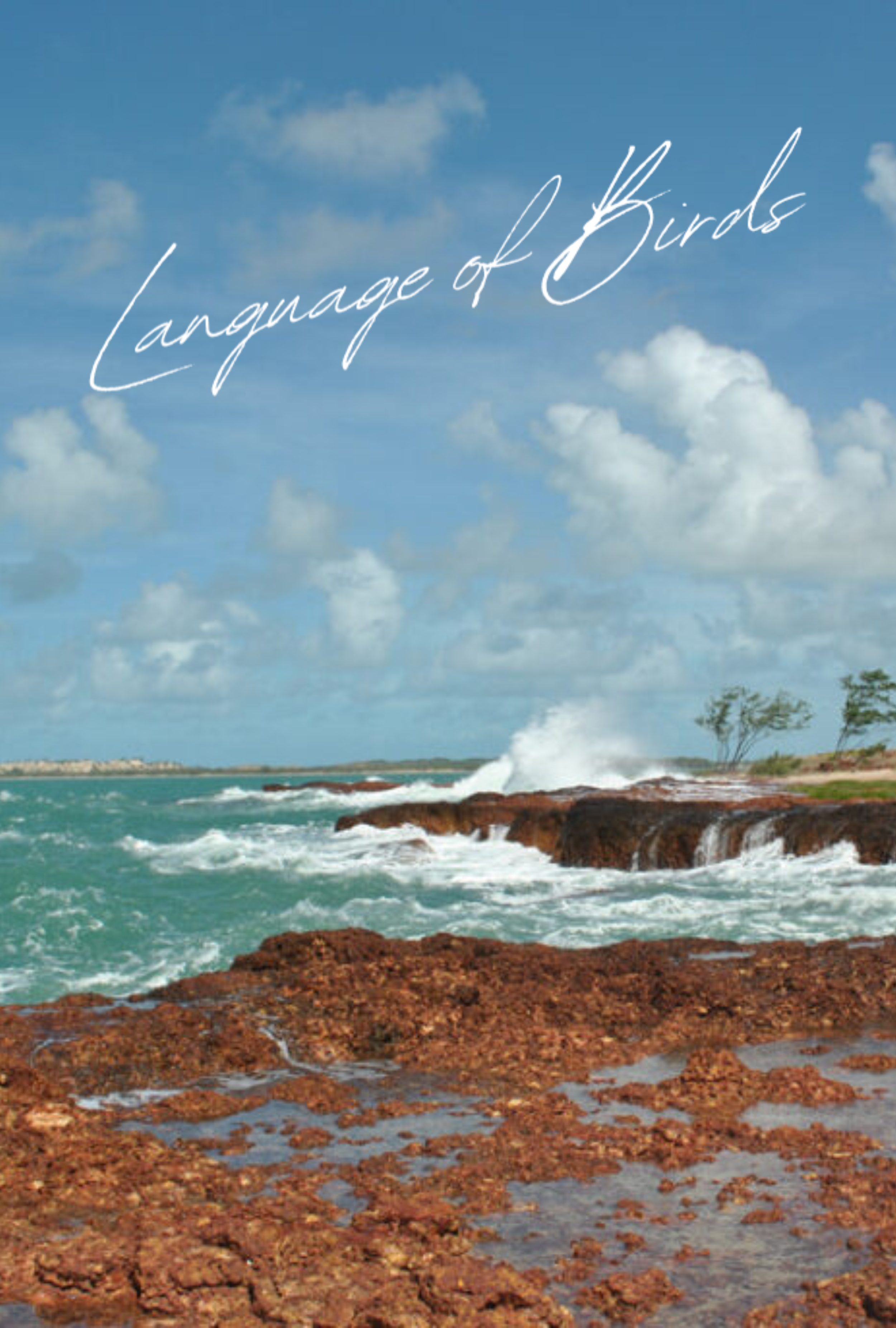 language of birds placeholder image.png