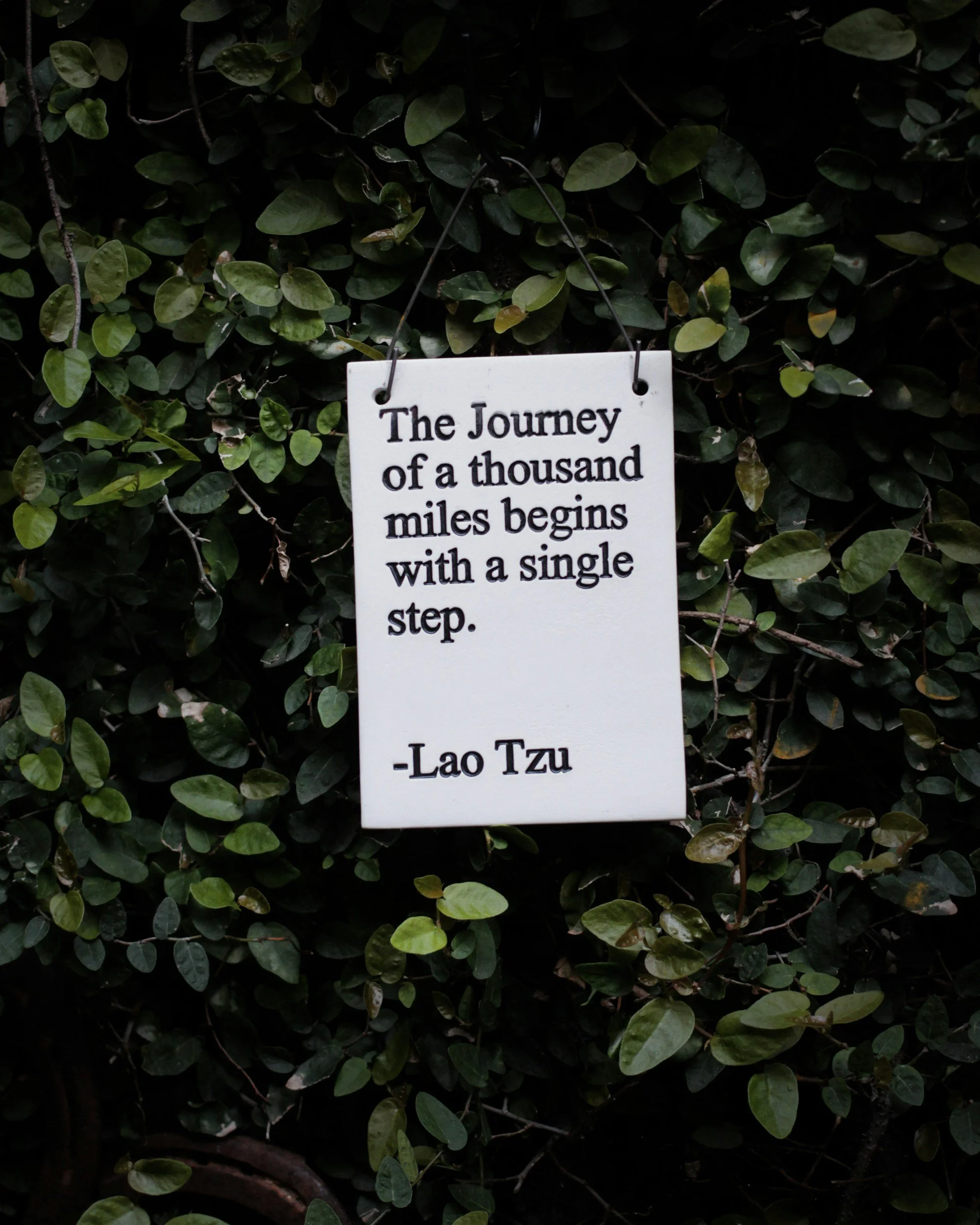 A white sign with black text hanging on a dark leafy bush. The sign reads: "The Journey of a thousand miles begins with a single step. -Lao Tzu."