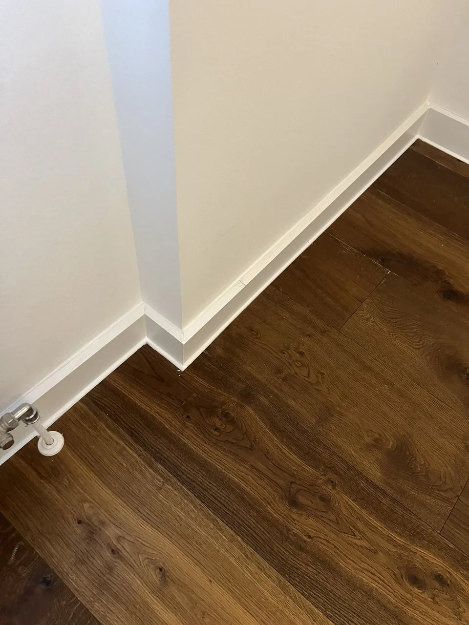 photo_2025-02-04 12.43.58.jpeg