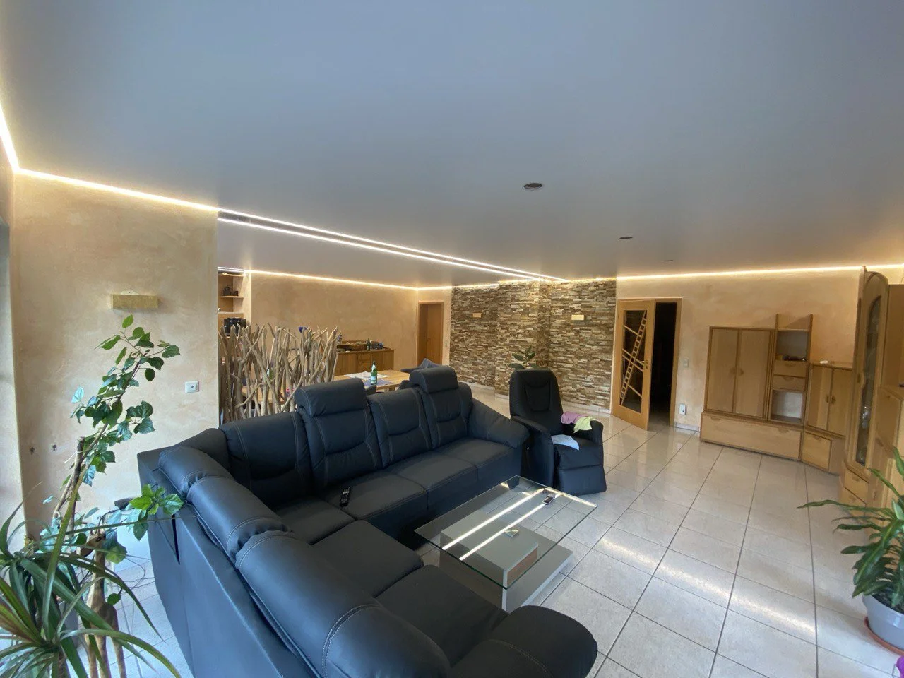 photo_2025-02-04 13.12.54.jpeg