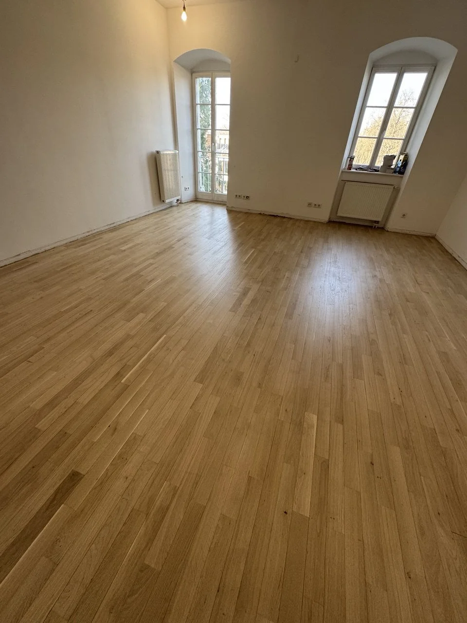 photo_2025-02-04 12.43.41.jpeg