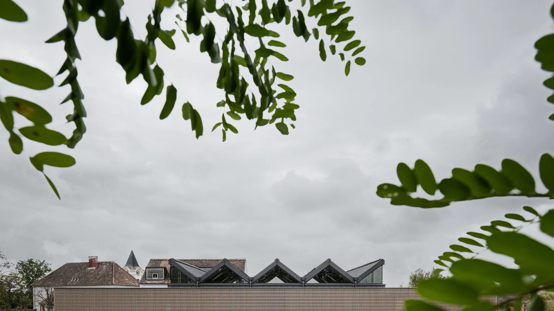 20251022-Volksschule Mittergrabern-©A Quadrat-18.jpg