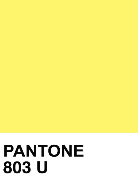 Pantone jaune png.png