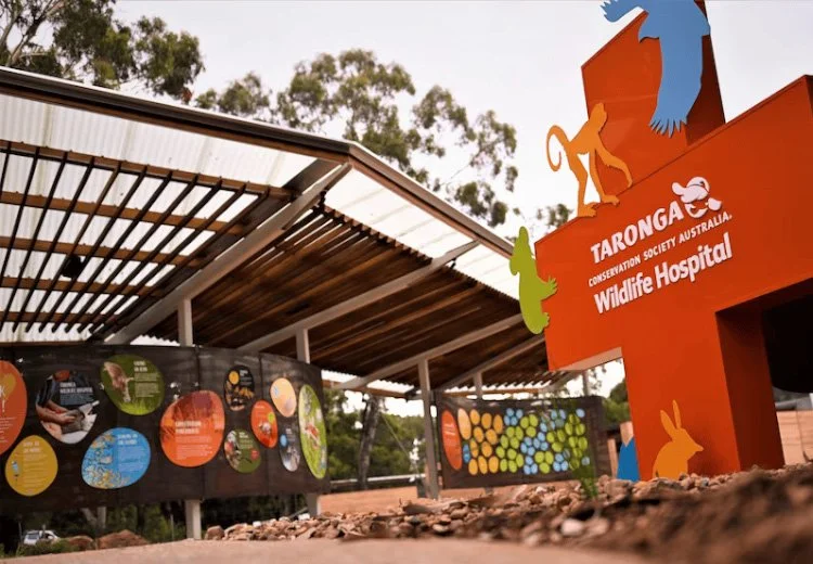 Taronga Zoo Wildlife Hospital Dubbo