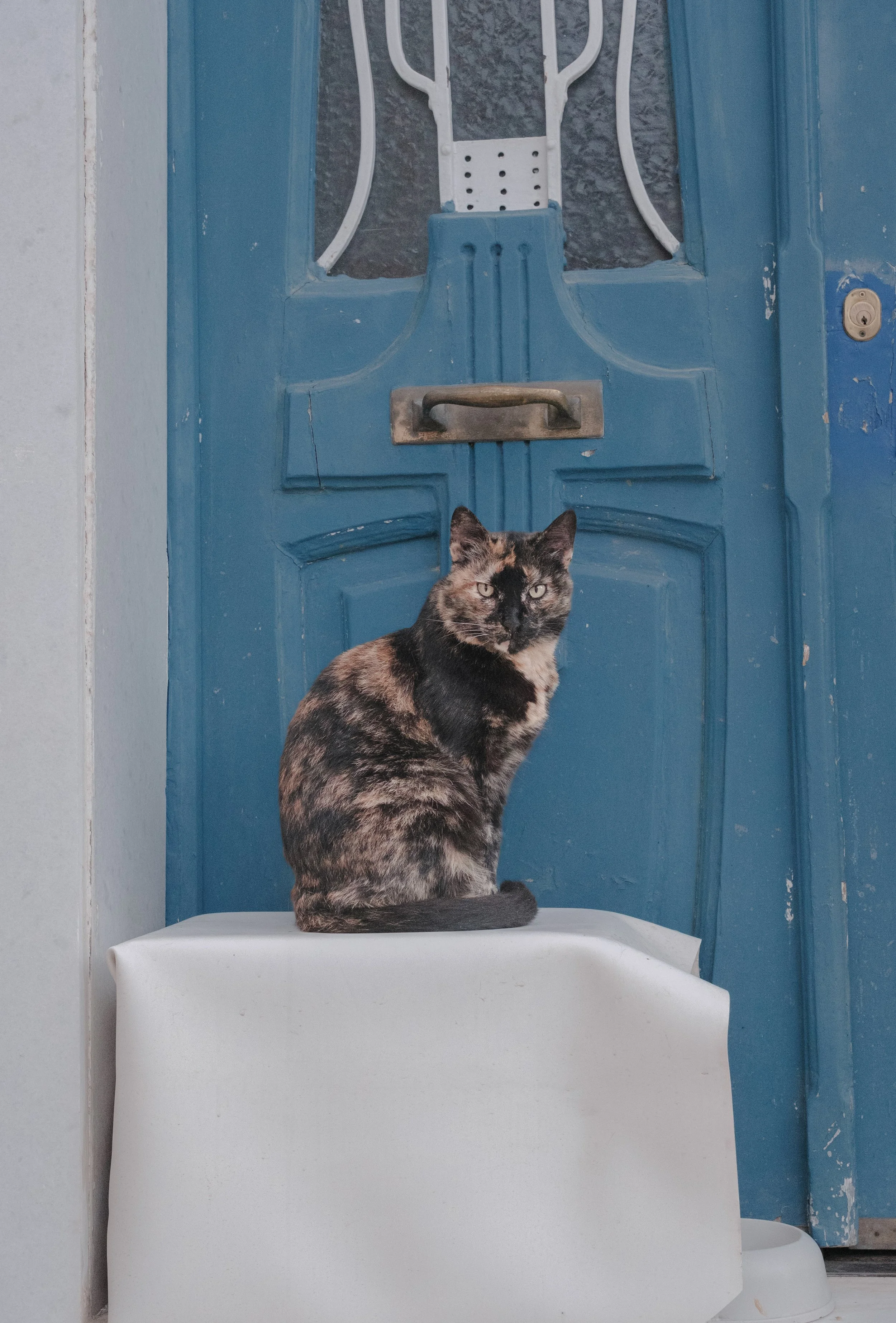 DSCF5790.jpg