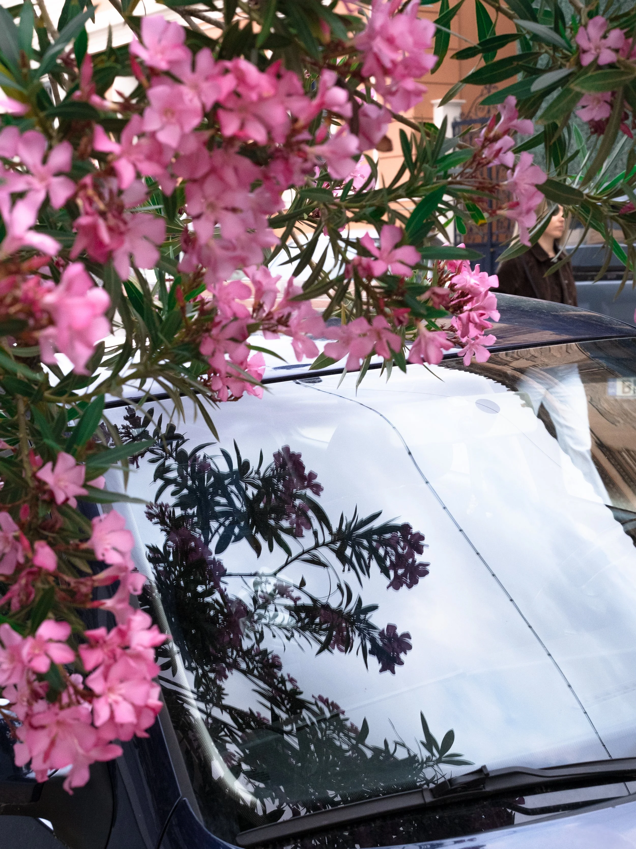 DSCF5581.jpg
