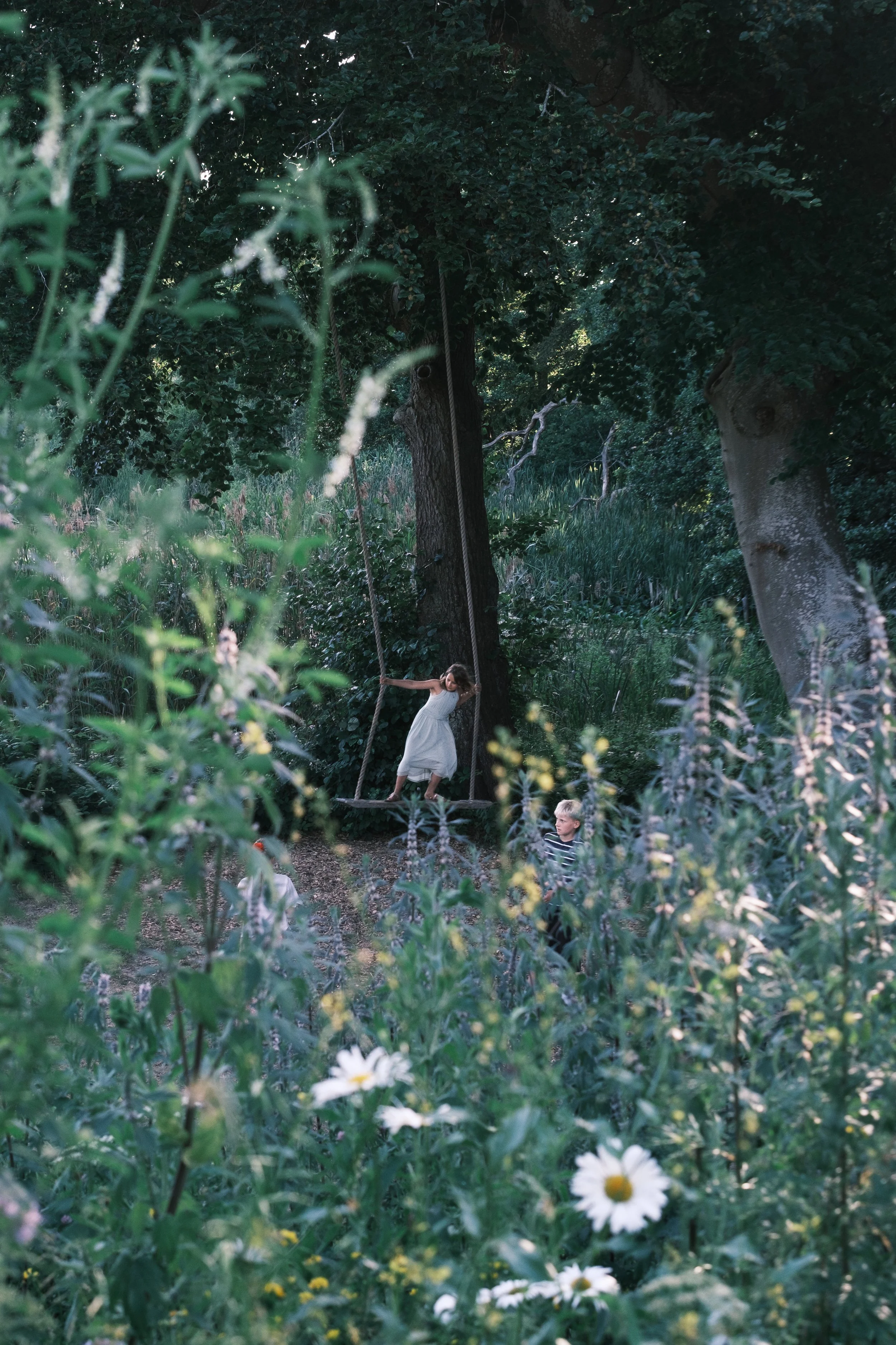 DSCF8590.jpg