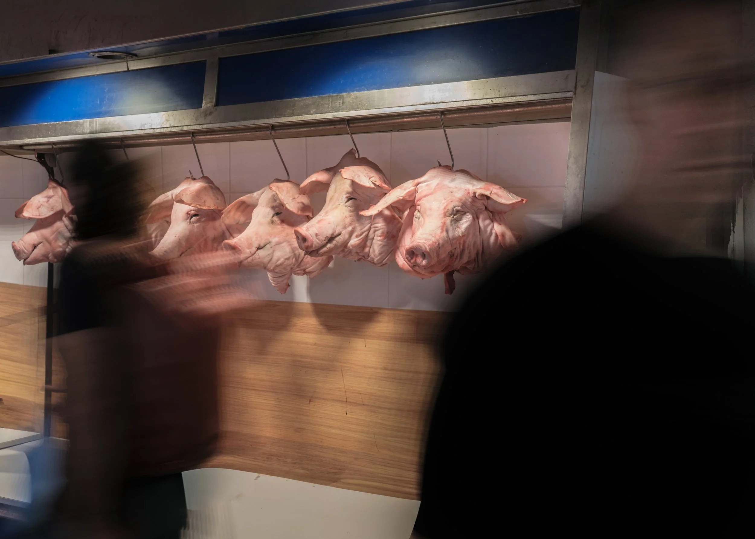 DSCF5918.jpg