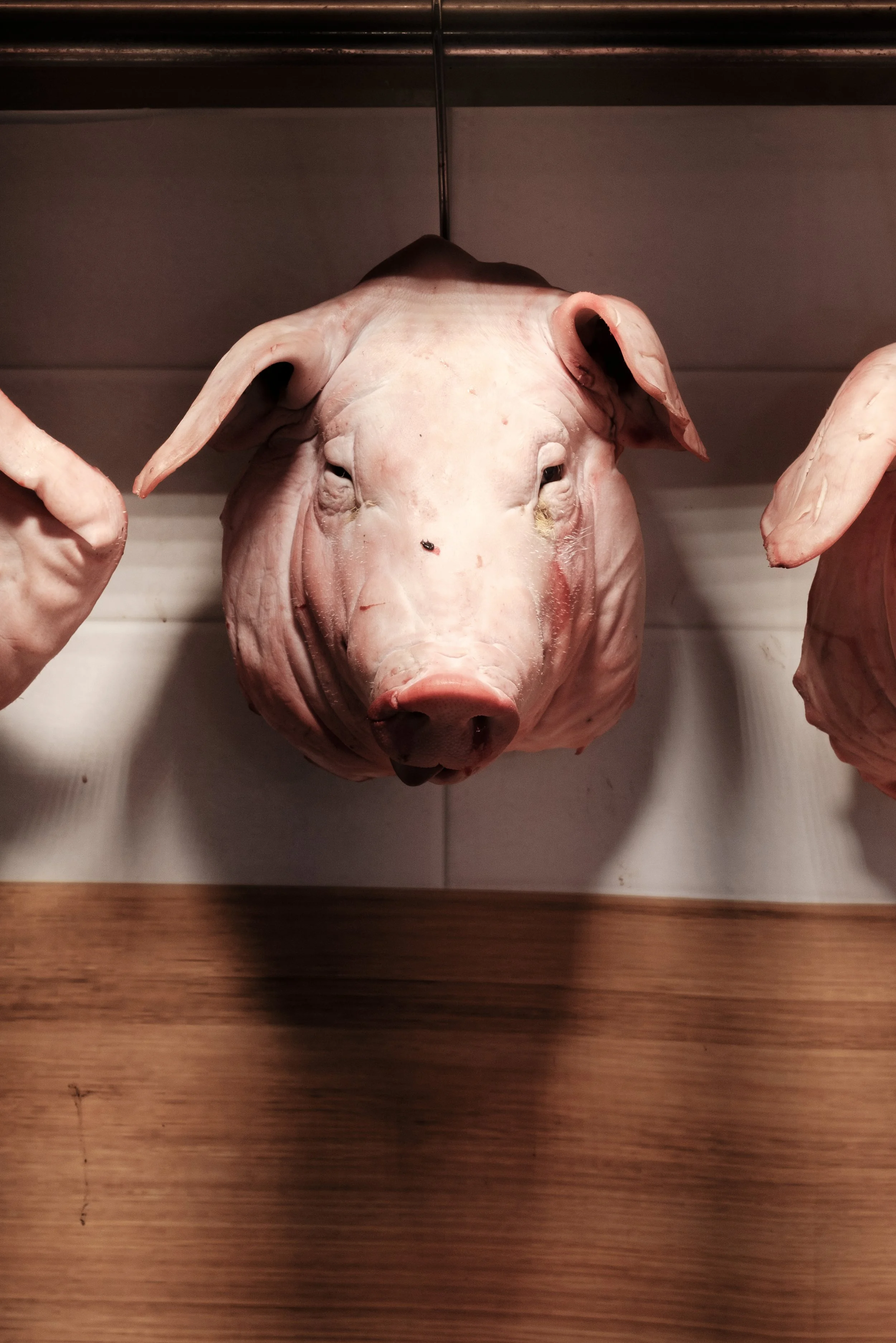 DSCF5890.jpg
