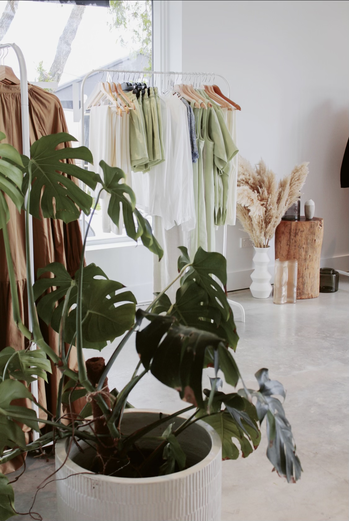 pot plant in foreground of retail store