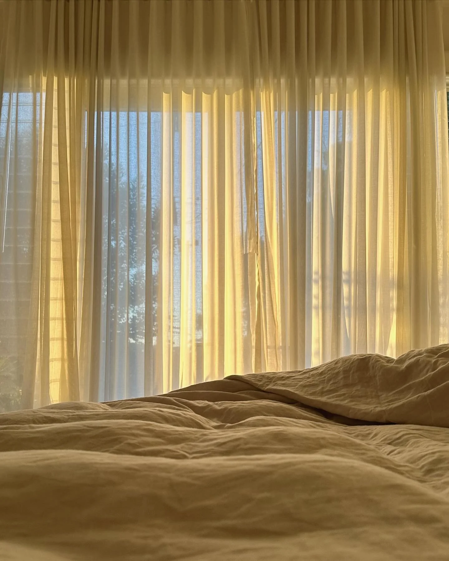 Some little moments of beauty of late.