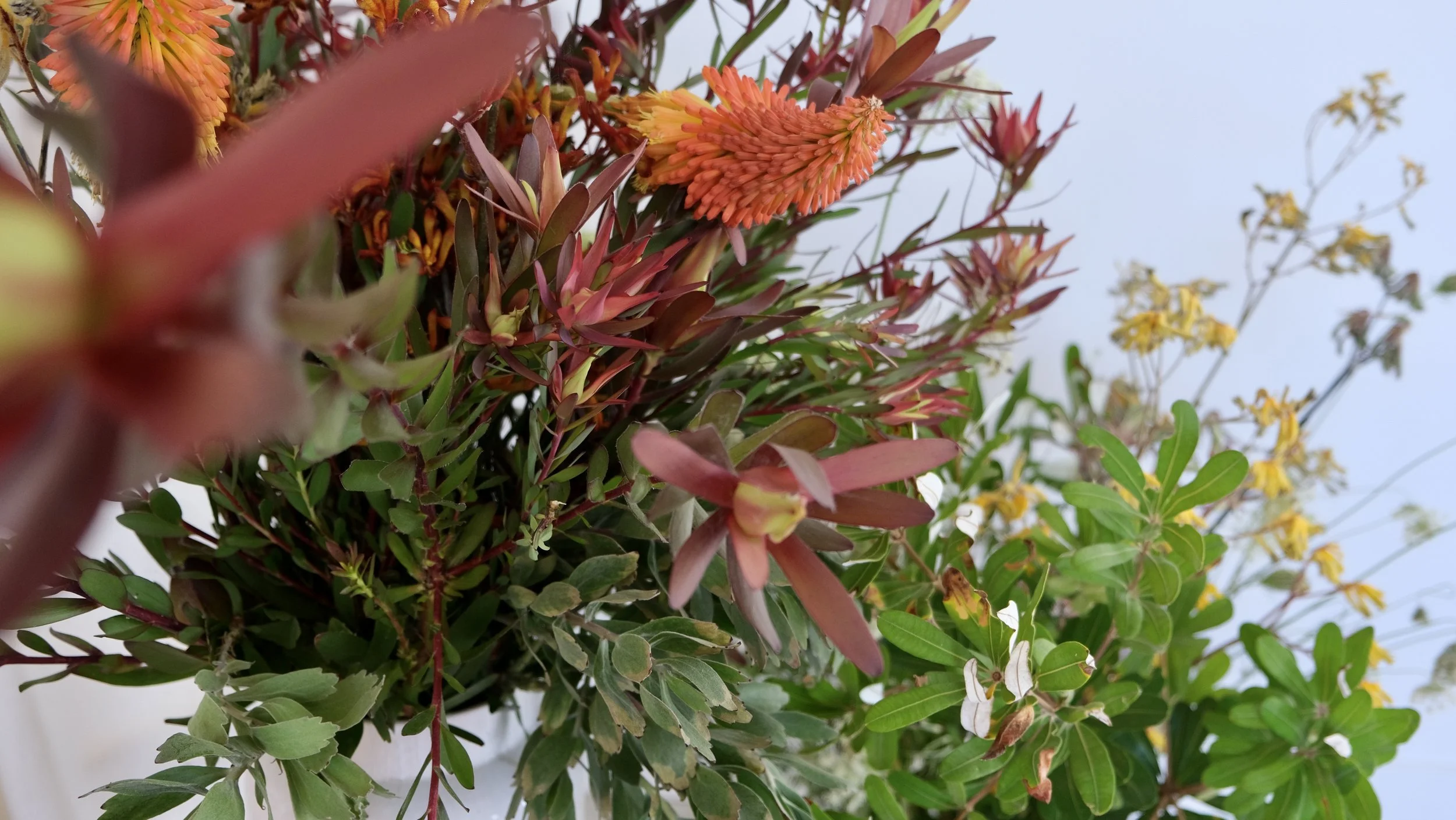 close of up floral arrangement