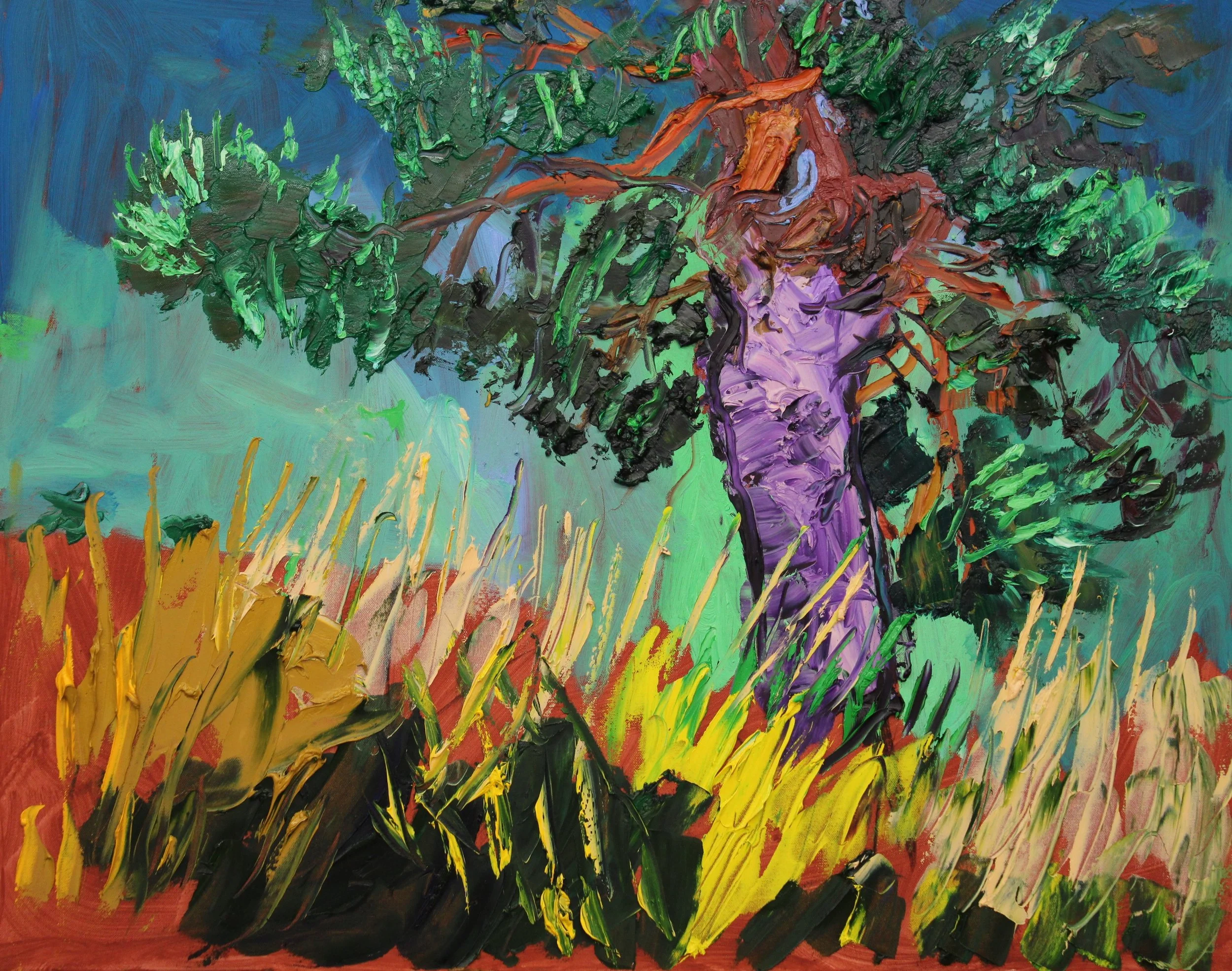 "Wetterföhre bei Altenburg im Hochsommer-Licht", Öl auf Leinwand, 80 x 100 cm, August 2026 (W-1068)
