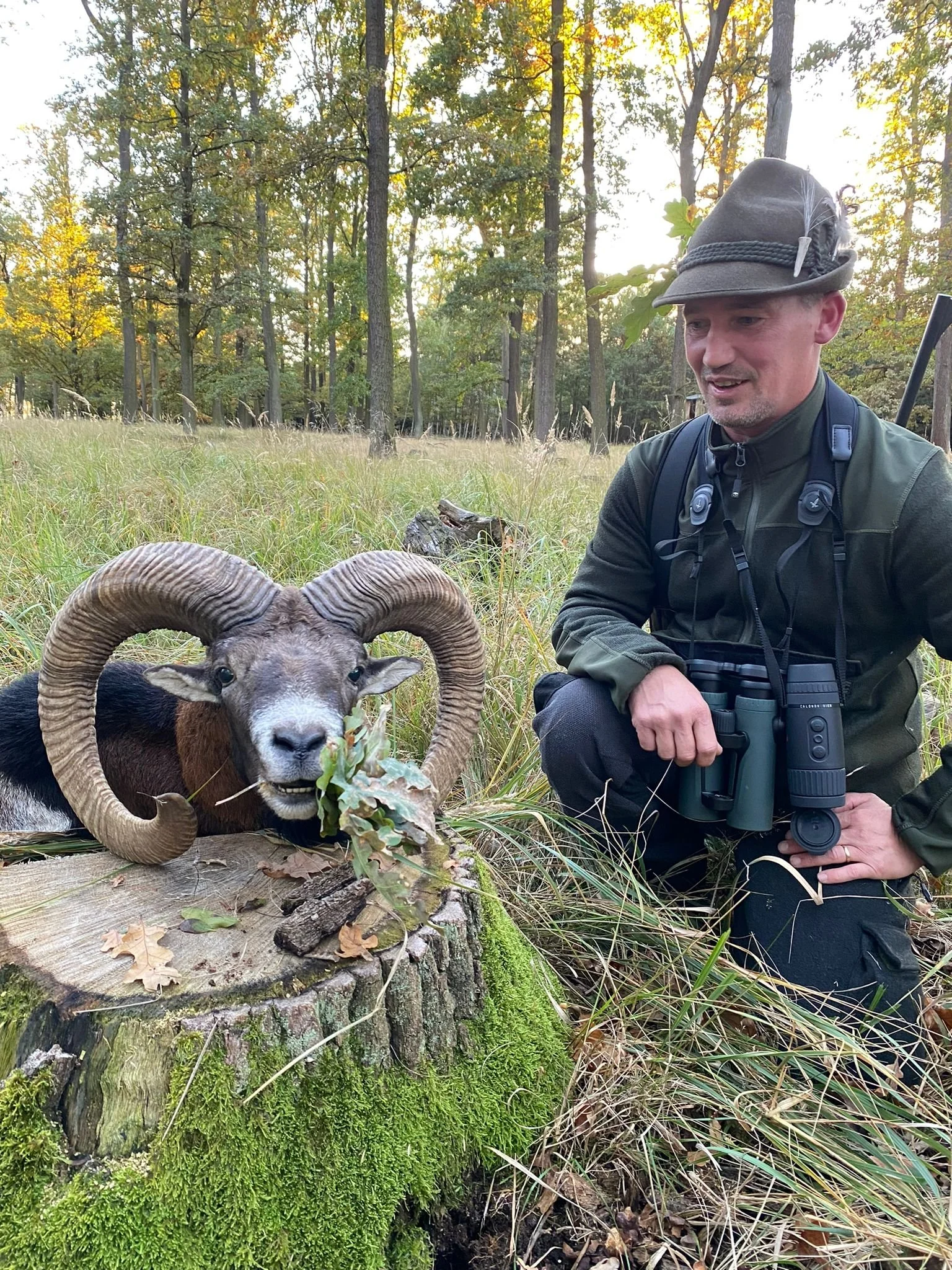 Muffel Gschnell.jpeg