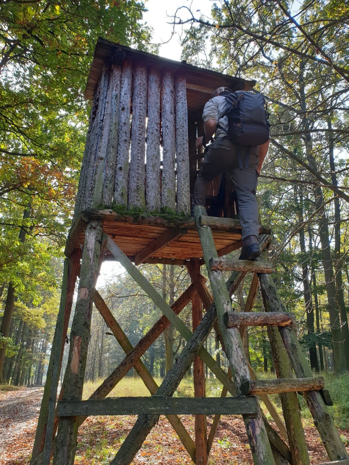 OHA Ettore Zanon (3).jpeg