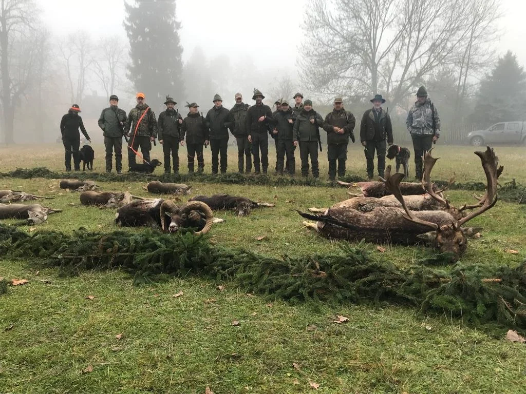 OHA Vlaďka Bartošová (0).jpeg