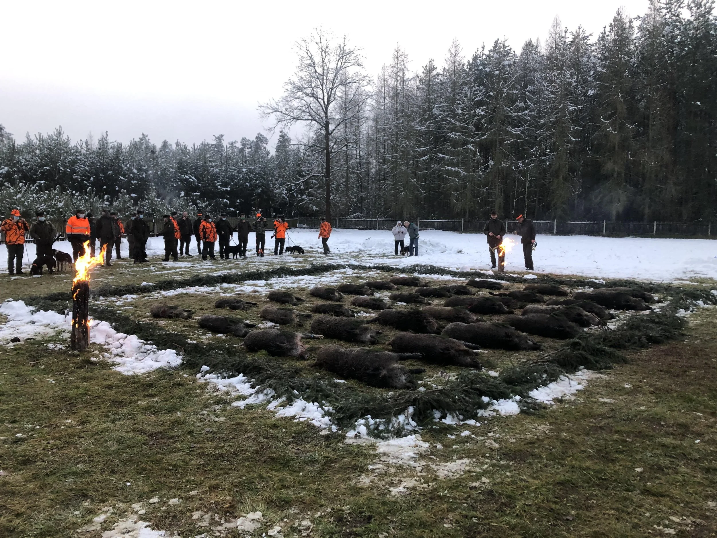 Carlo Kinsky 002.jpg