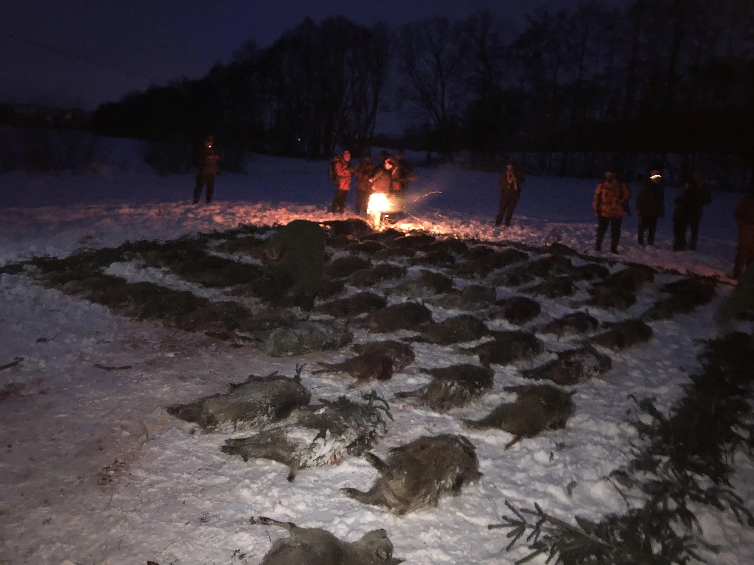 Carlo Kinsky 003.jpg