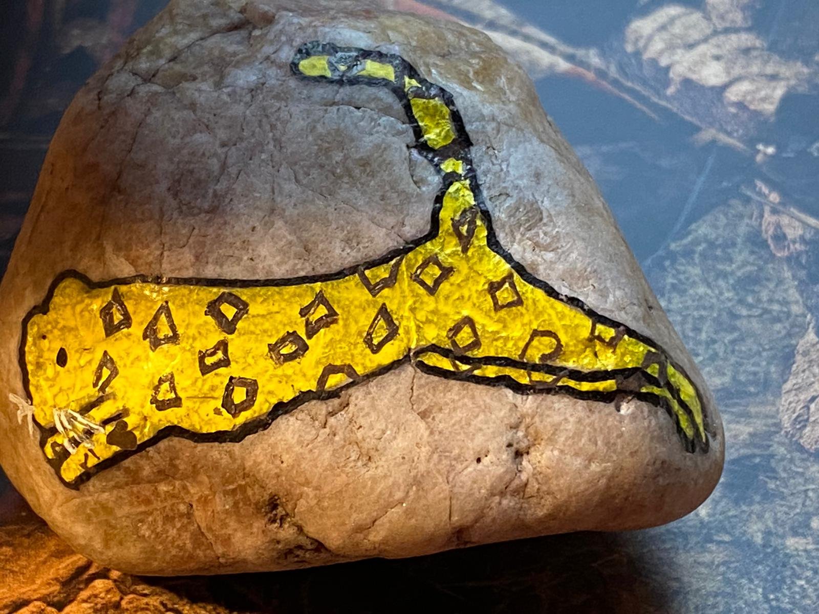 Mit Tieren sprechen: Krafttiere wecken instinktive Kräfte