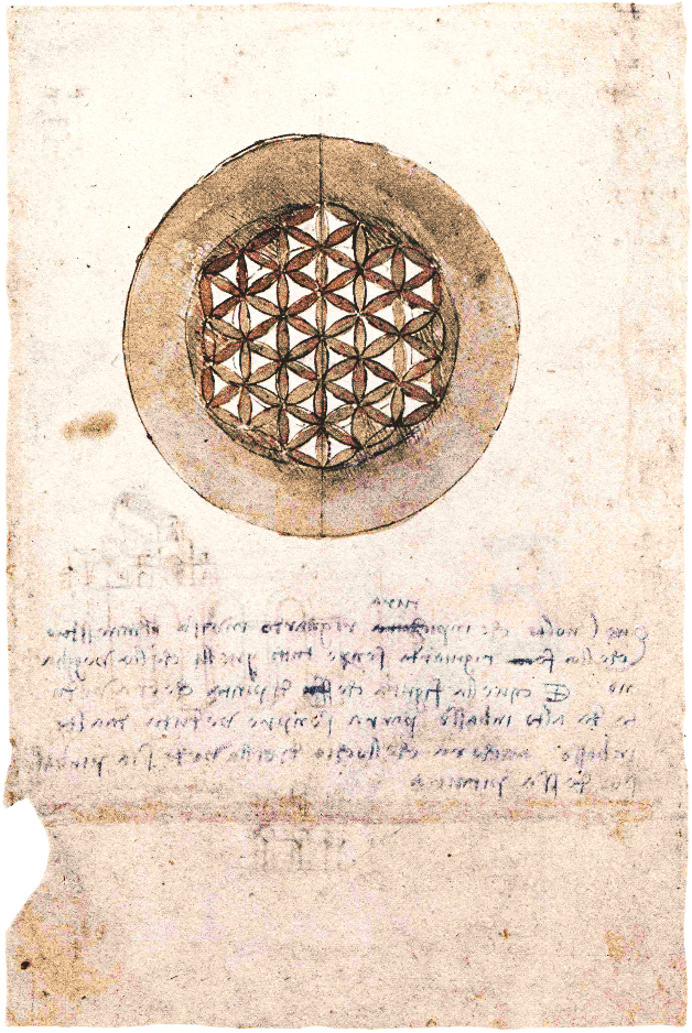 Leonardo_da_Vinci_-_Codex_Atlanticus_folio_309v.png