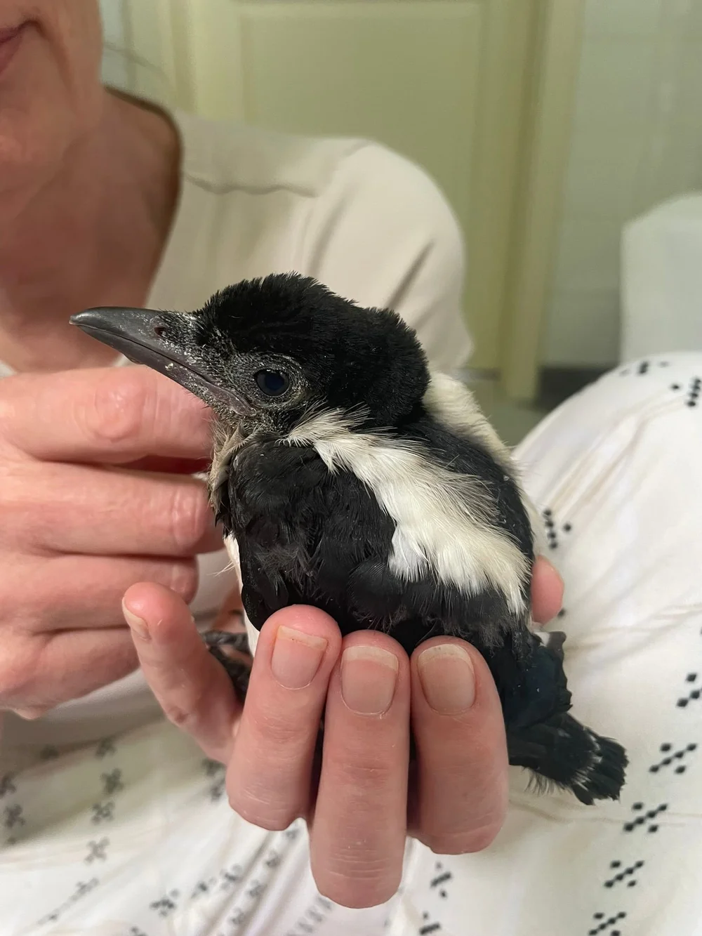 2a4589e8-55a9-4939-9786-35e5dd24a53d 2.jpg