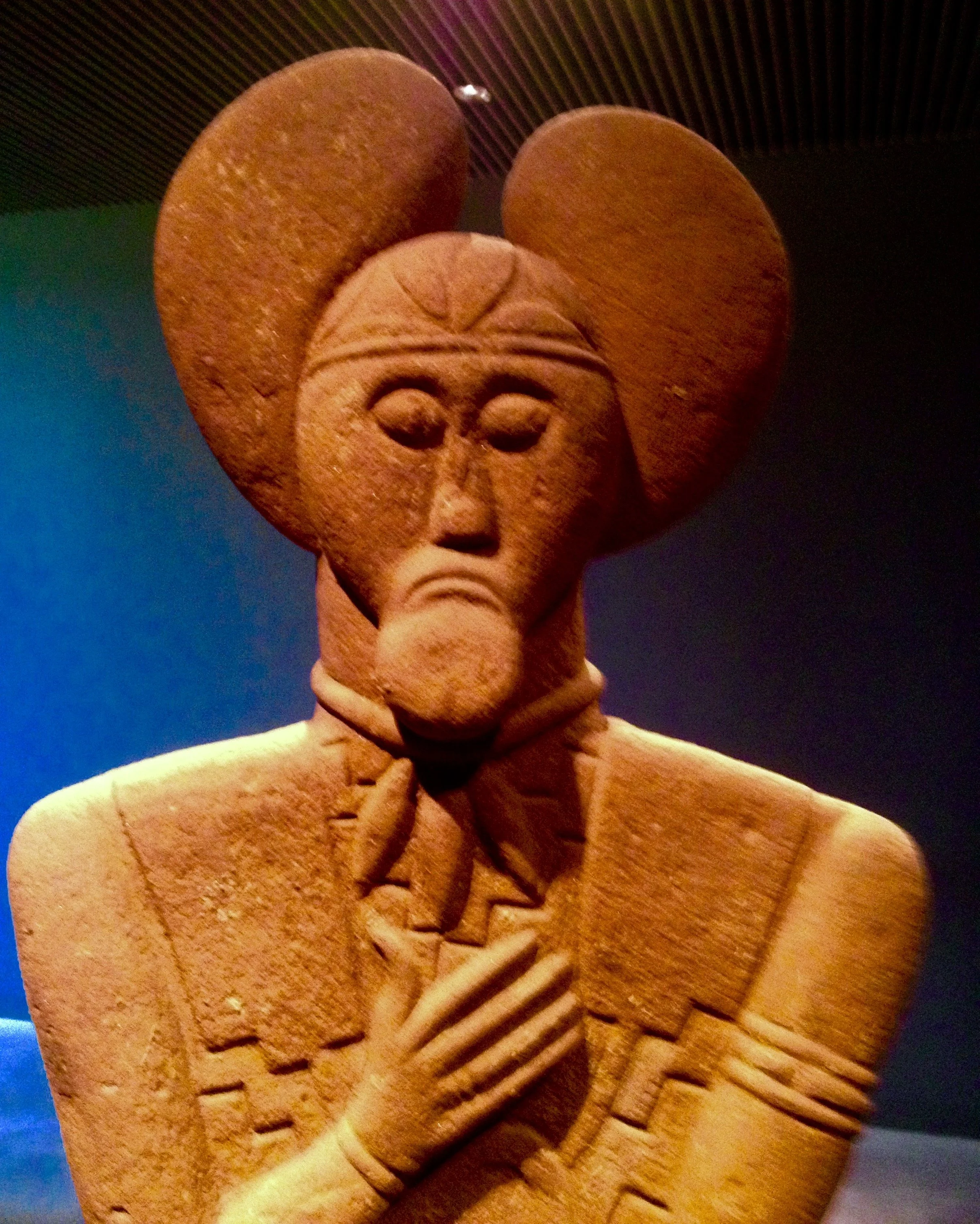 Zwischen Himmel und Erde: Die Mistel 