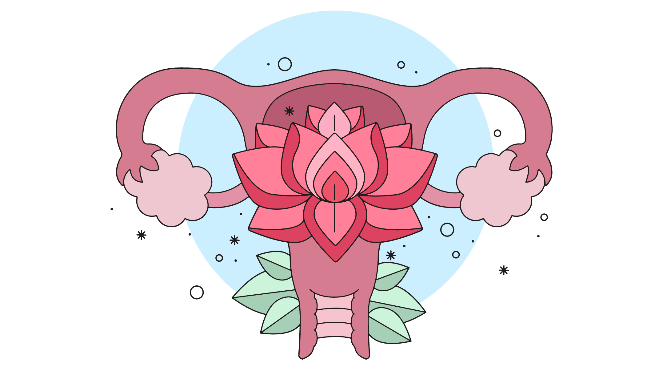 Uterus-Vector.png