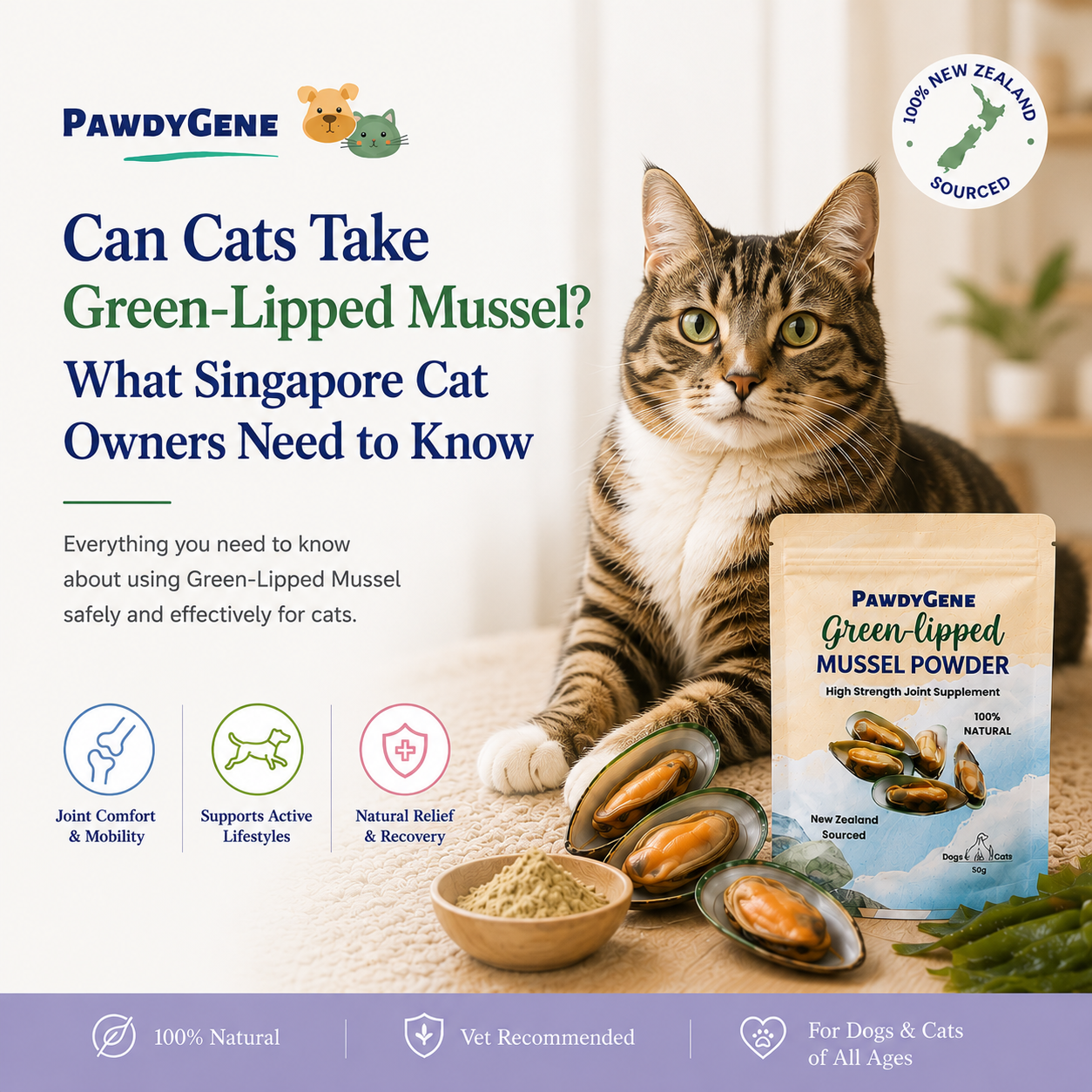 Can Cats Take Green-Lipped Mussel? What Singapore Cat Owners Need to Know