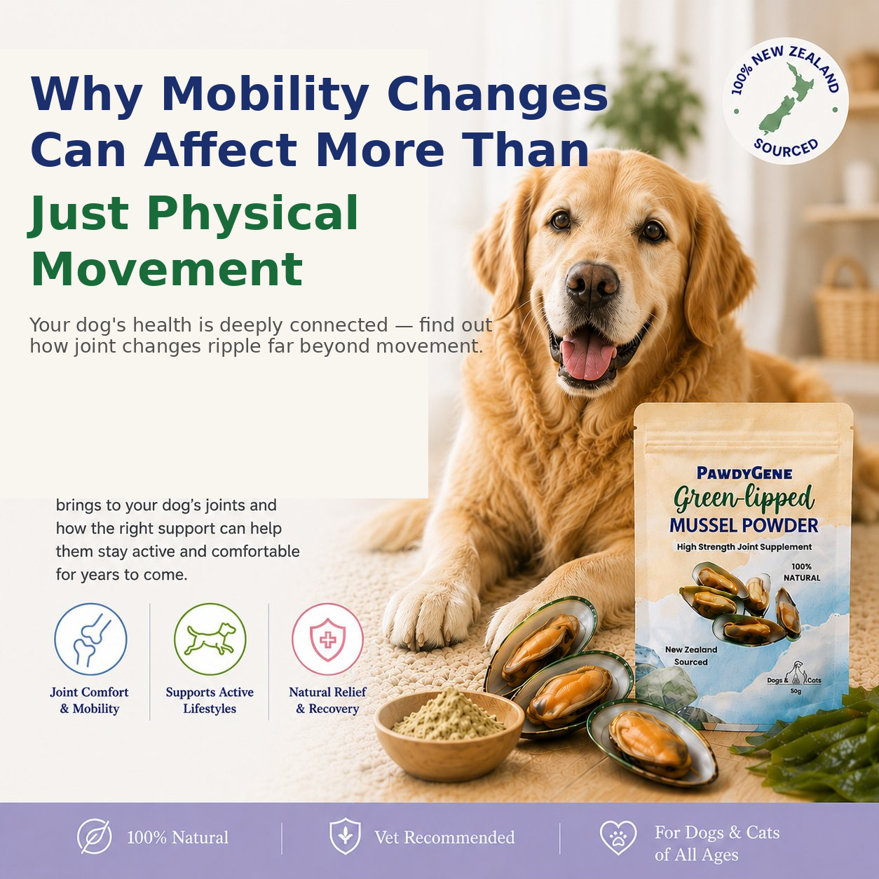 Why Mobility Changes Can Affect More Than Just Physical Movement