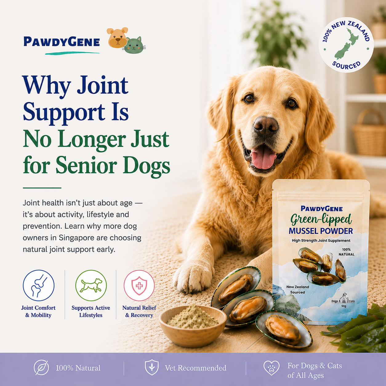 Why Joint Support Is No Longer Just for Senior Dogs