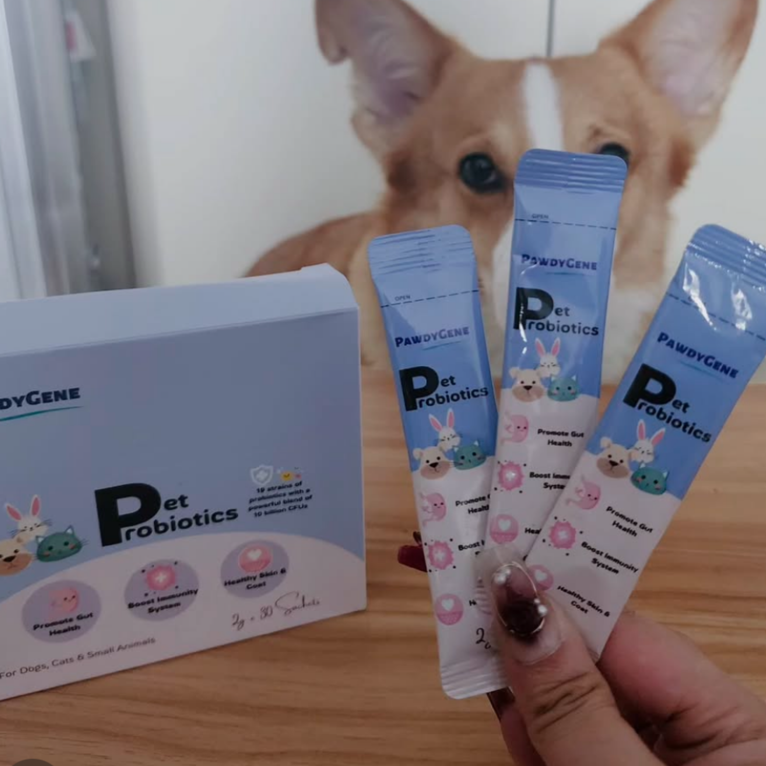 Cat using PawdyGene Pet Probiotics for digestive and gut health support