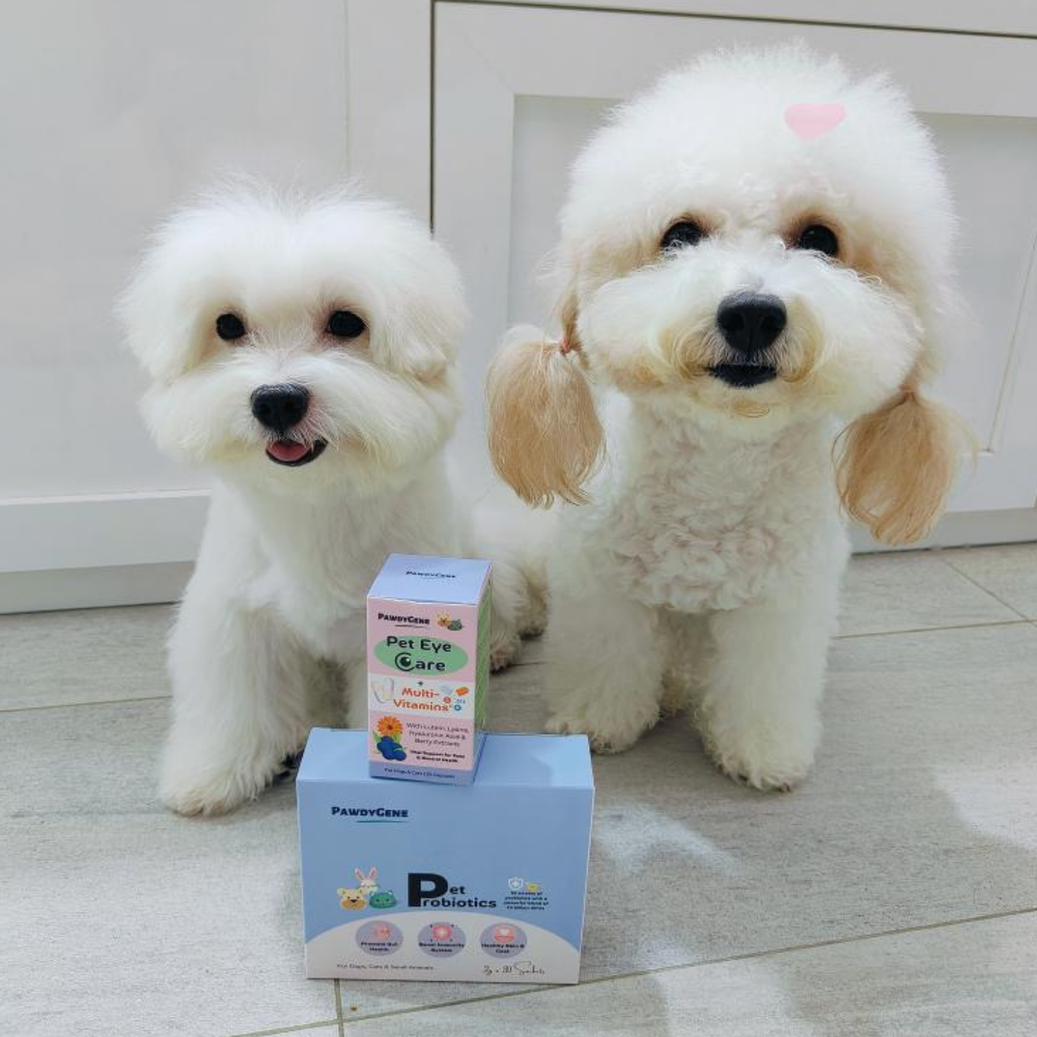 PawdyGene customer photo showing active dog with healthy mobility
