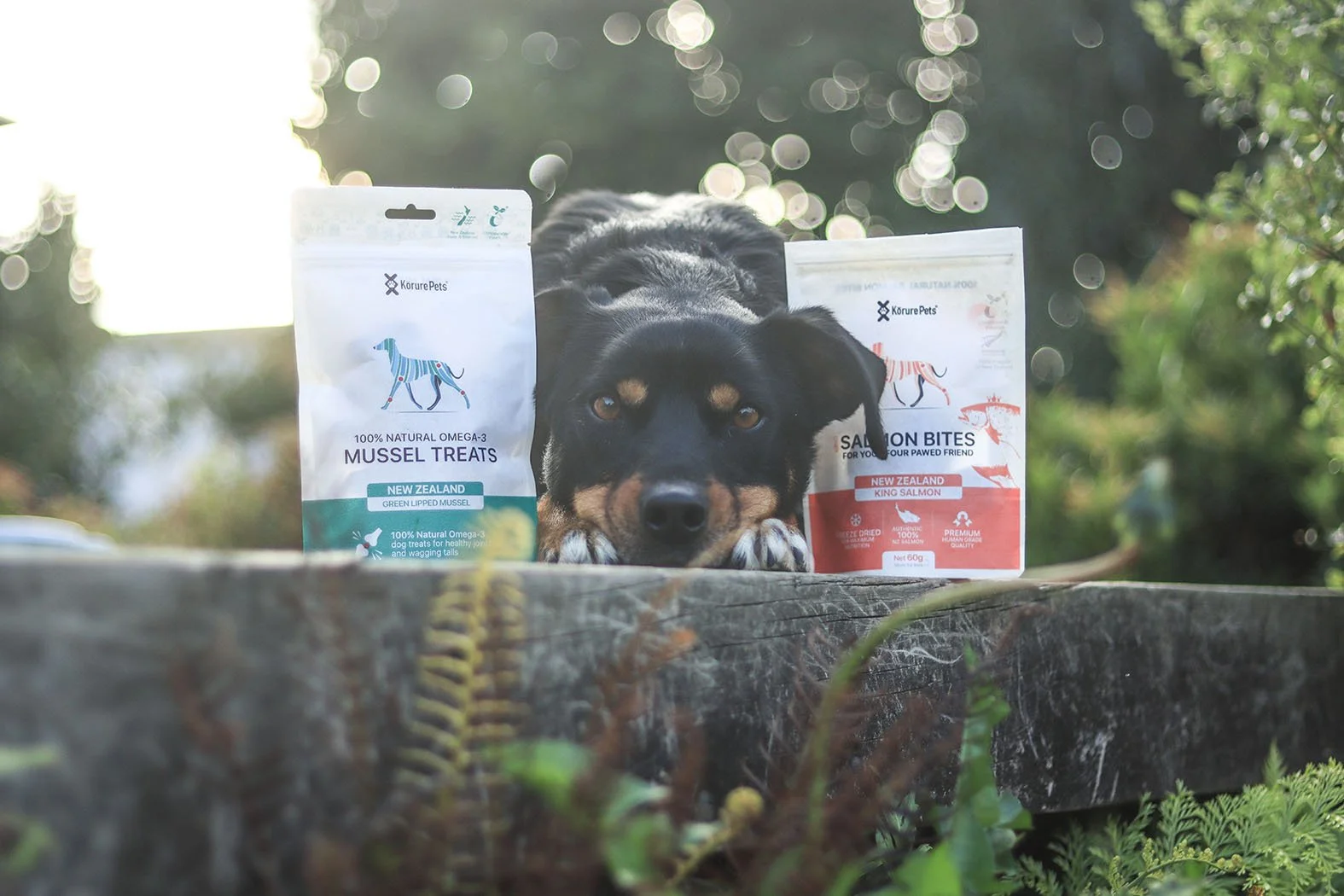 mussel and salmon bites.JPG