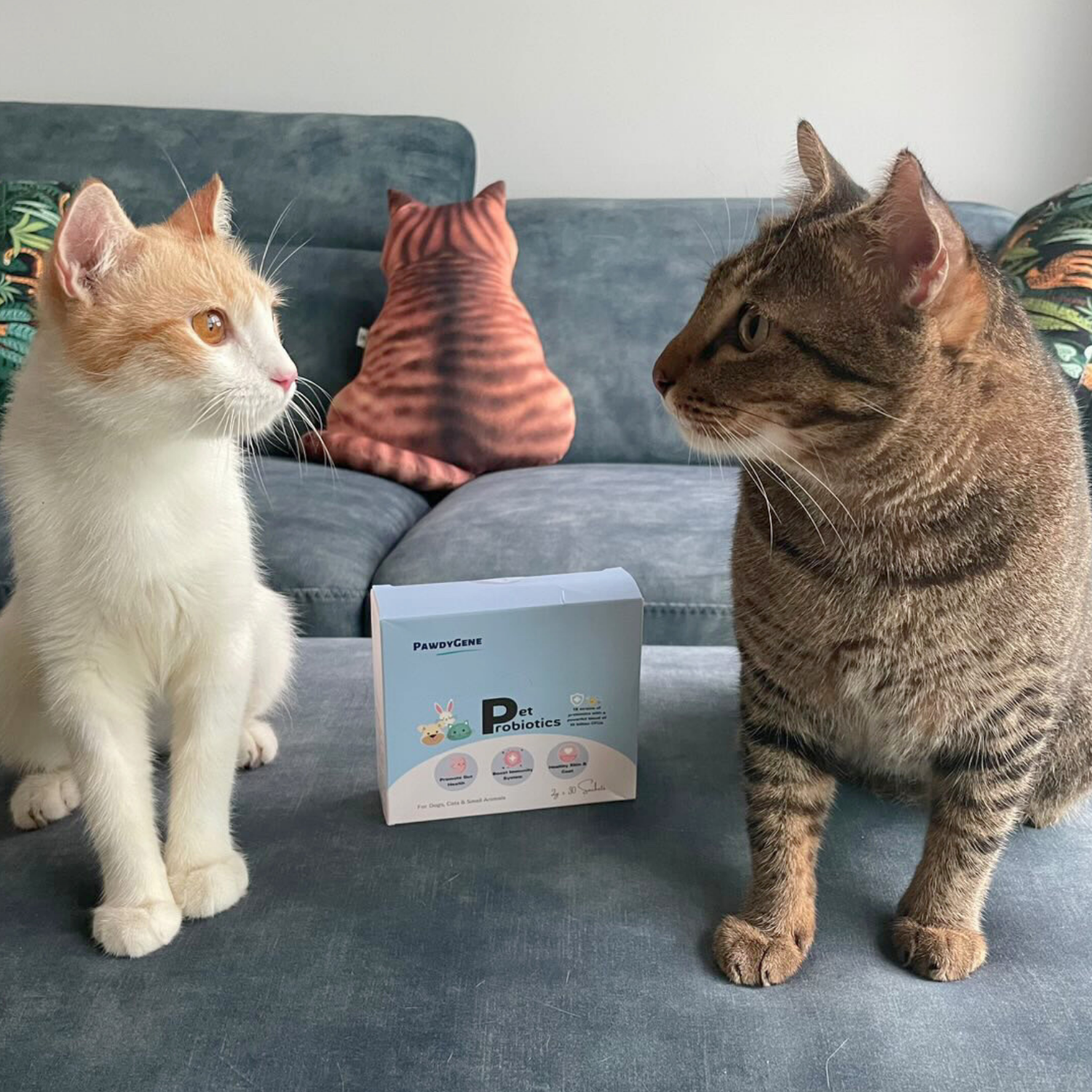 Pet owner and dog participating in PawdyGene wellness journey