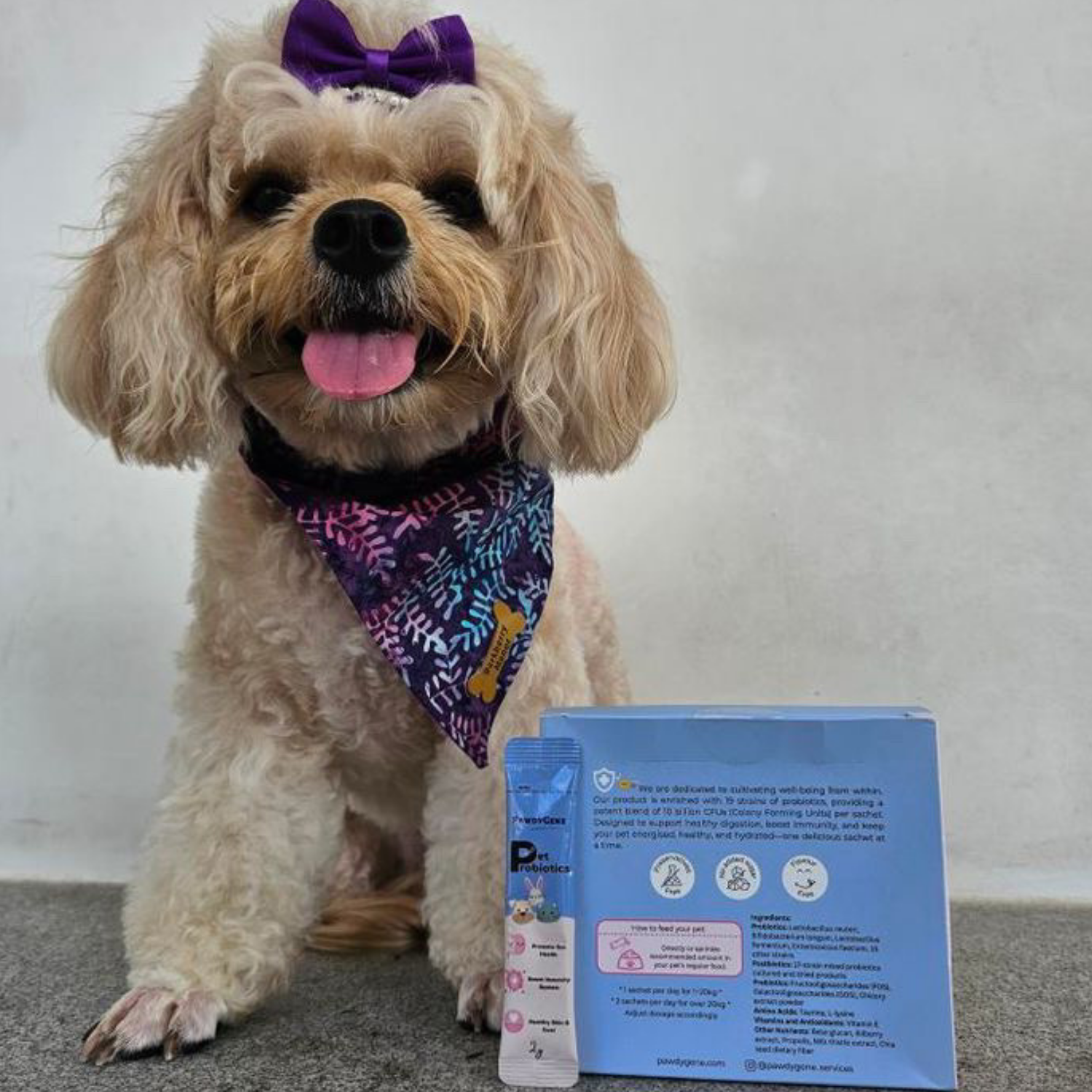 Dog enjoying PawdyGene Pet Probiotics as part of daily gut health support routine