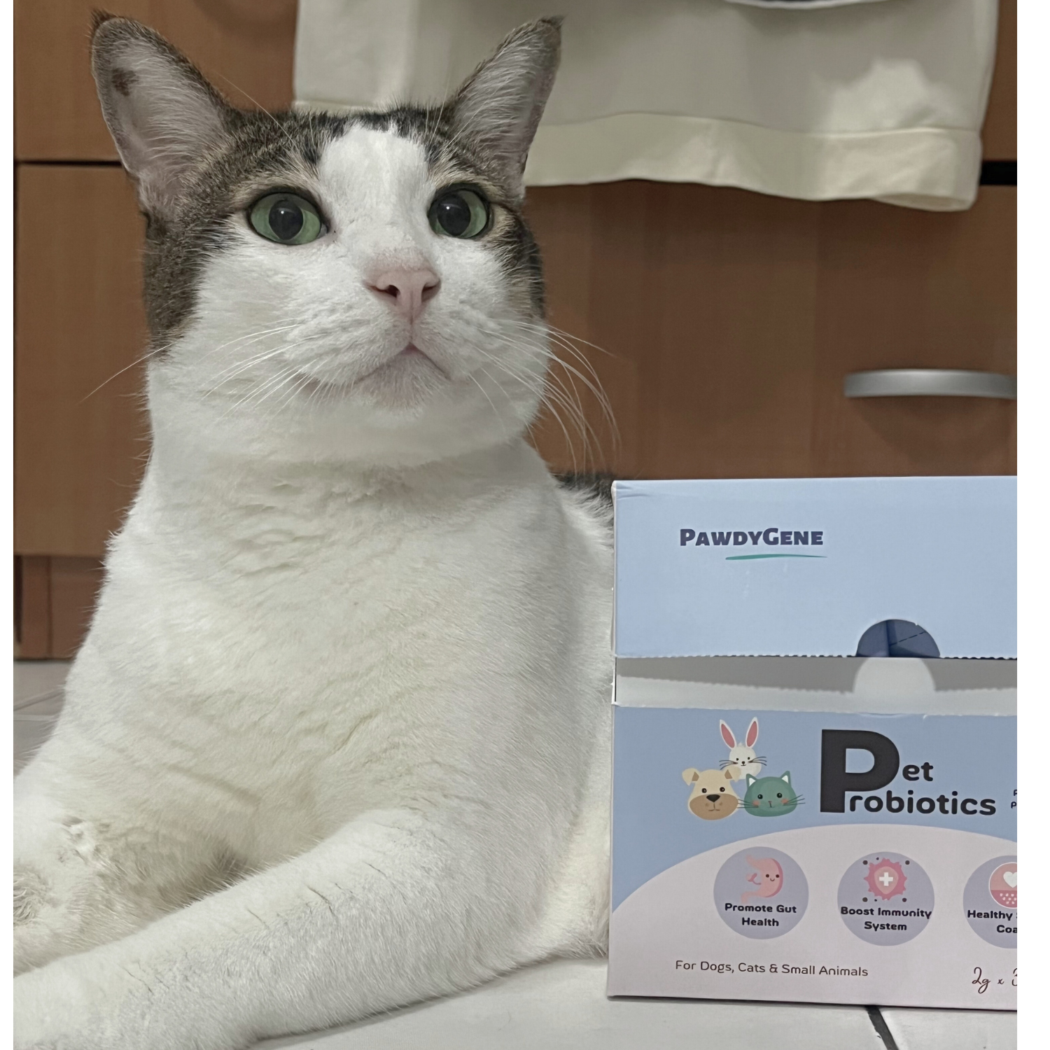 Happy cat owner with PawdyGene Pet Probiotics supplement in Singapore