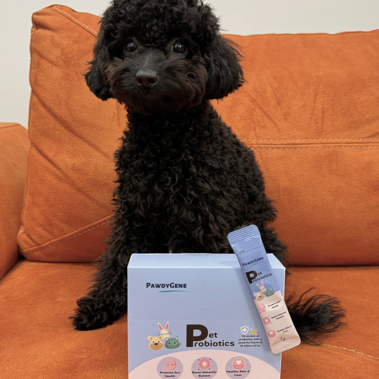Pet owner sharing positive experience with PawdyGene probiotics for dogs