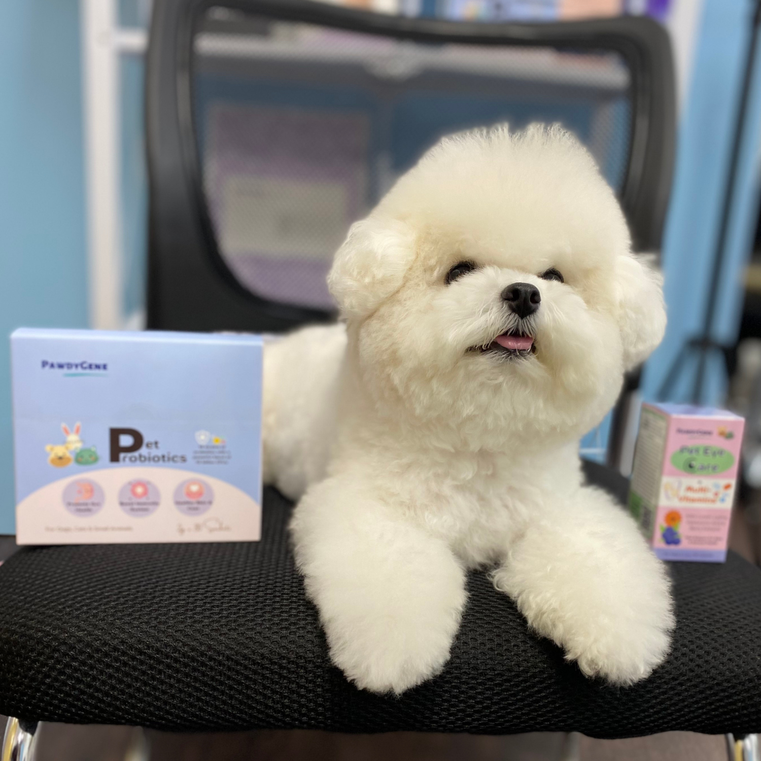 Pet owner recommending PawdyGene supplements for daily pet wellness