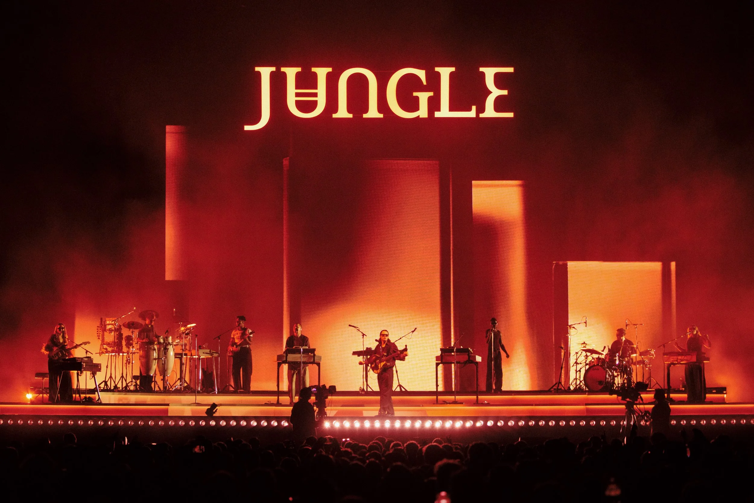 jungle140.jpg