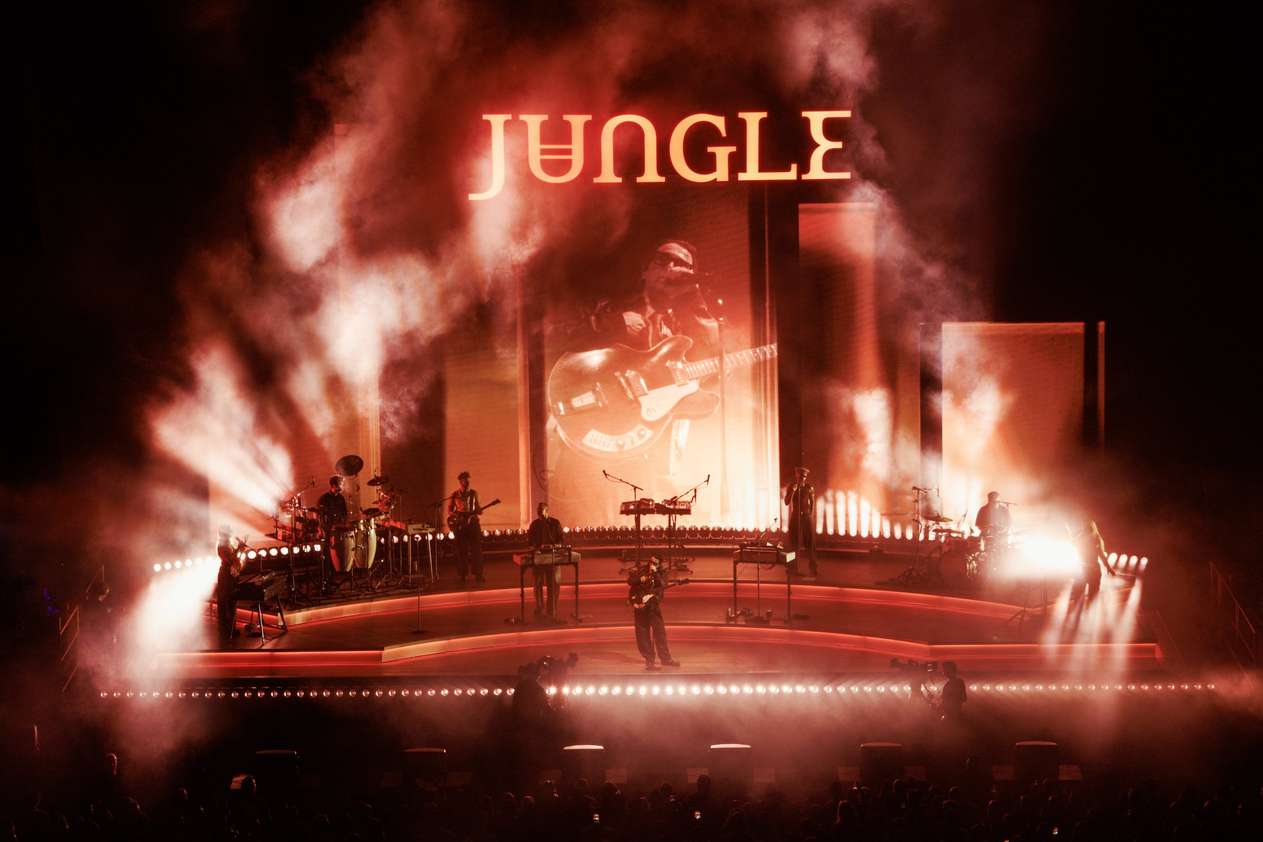 jungle110.jpg