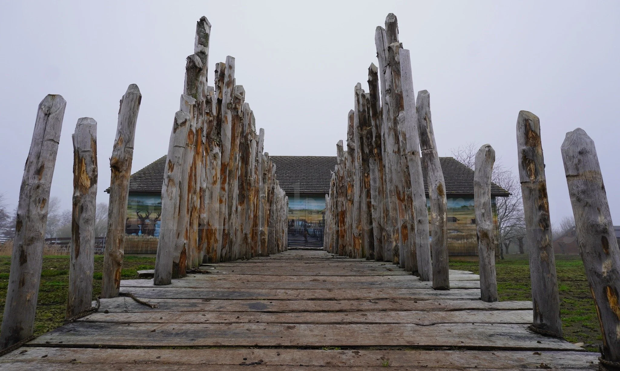 Flag Fen Archaeology Park