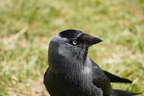 DSC09157.png