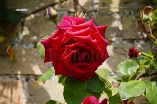 DSC09277.png
