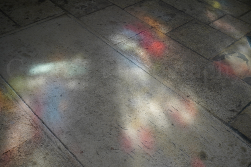 DSC08244.png