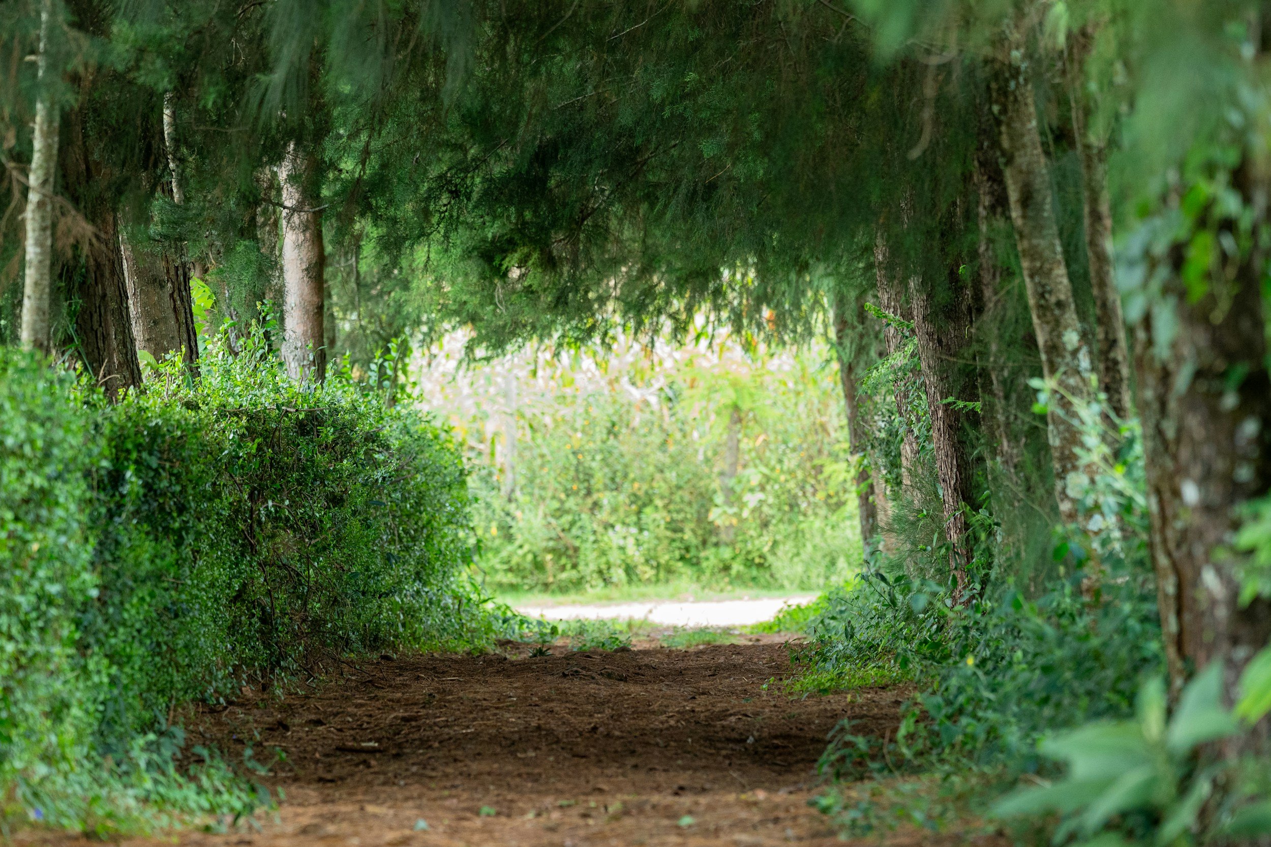 How Childhood Experiences Shape What Feels Possible for You