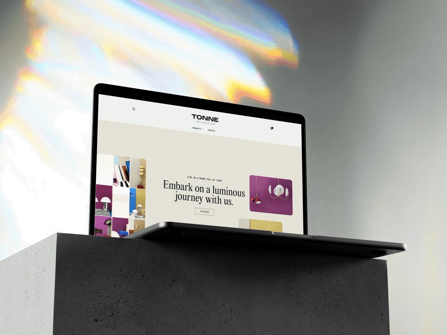 tonne copy.2024-04-01 21_23_07.gif