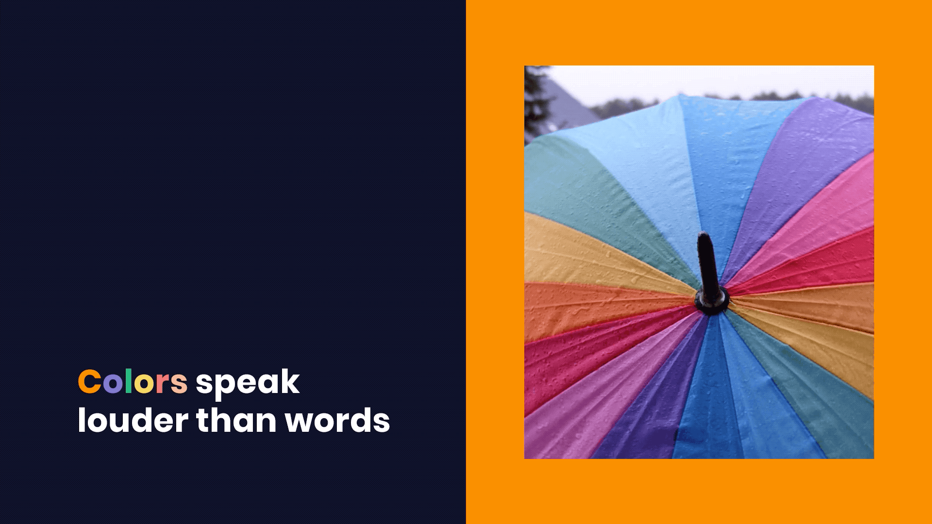 Untitled-1 2 4 2 3.2021-03-23 13_12_07.gif