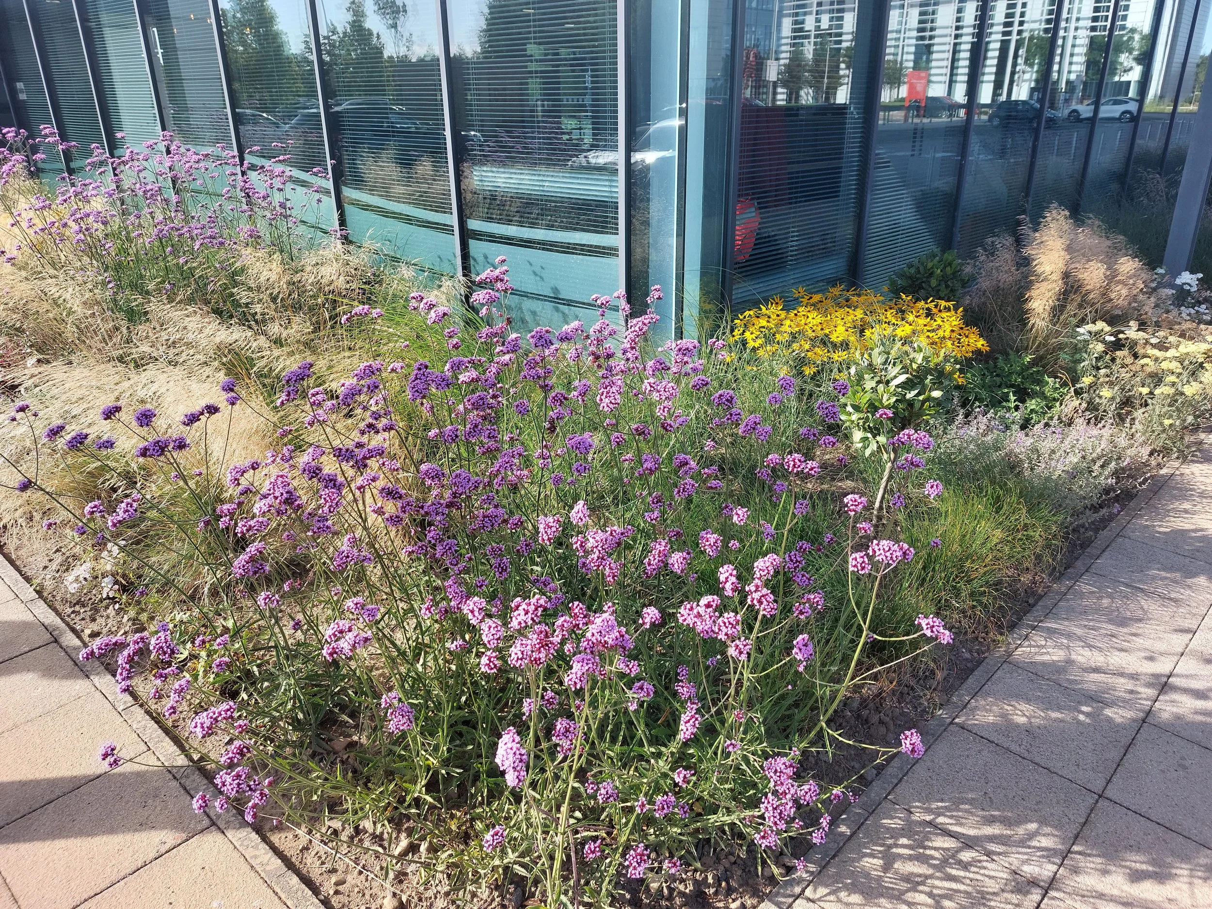 It’s official – Maxim Park is sitting pretty following landscaping award!